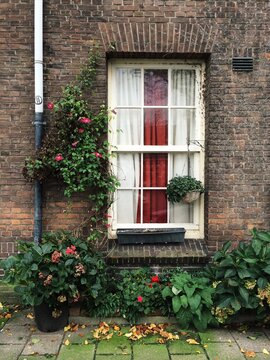 Worn window with curtains in an old brick building with plants on the sides