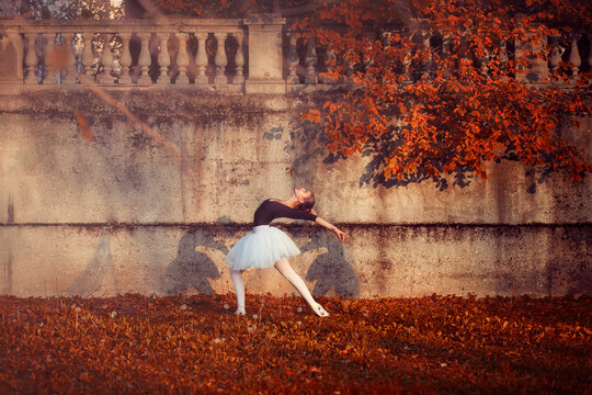 Young beautiful ballerina dancing outdoors