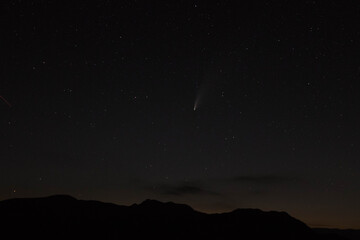 Naklejka premium Neowise Comet