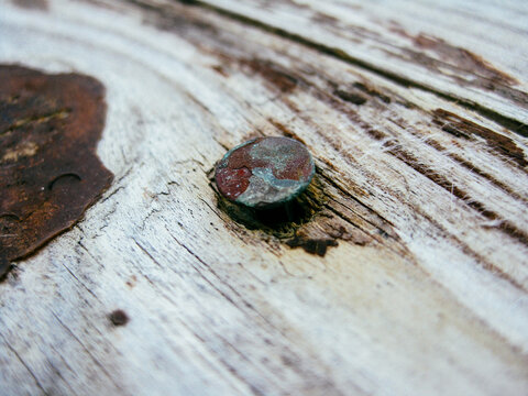 Rusty nail on wood