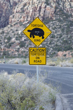 Caution sign warning of tortoise crossing