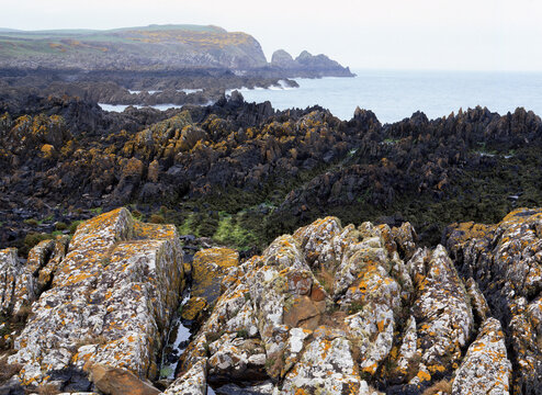 shoreline and headland isle of whithorn near St. Ninian's Chapel, galloway scotland high tide marks