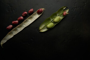 beanstory