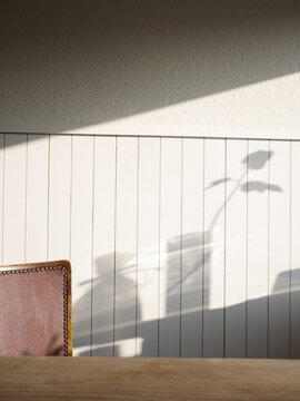 wall shadow white plank