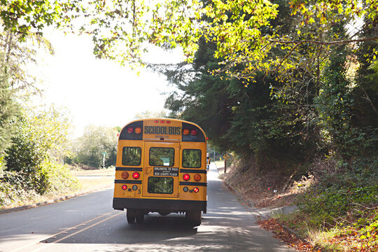 yellow school bus driving along tree lined road in northern California