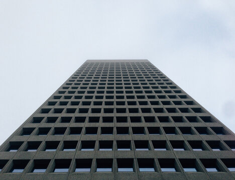 The Tower