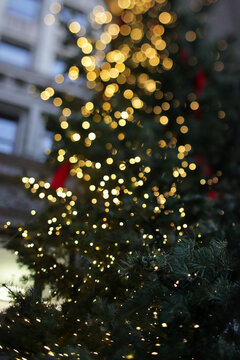 Abstract Twinkling Lights On An Outdoor Christmas Tree