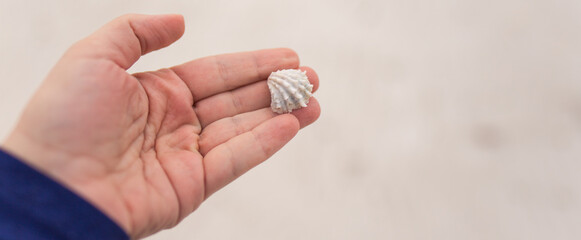 holding a sea shell 
