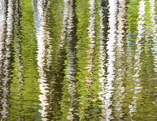 Water Reflections