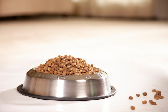 Detail of stainless steal dog bowl with rubber base filled with dry kibble sitting on kitchen floor, with a few bits of kibble loose on the floor 