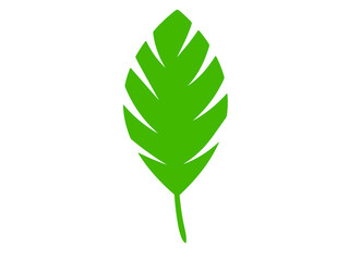 Green abstract leaf icons naturalon white background. Vector illustration.