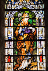 Saint Albert,stain glass