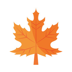 maple leaf foliage autumn flat icon with shadow