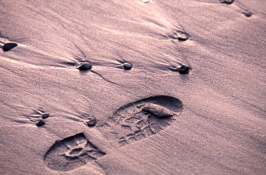 closeup of single boot footprint in wet sand at low tide pacific coast beach