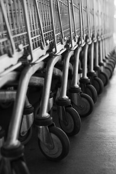 Row of empty shopping carts