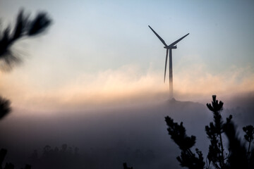Windmill in sunrise light