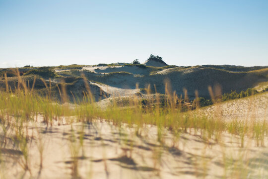 Dunes at Provincetown, Cape Cod Massachusetts