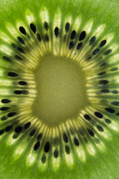 Kiwi fruit macro