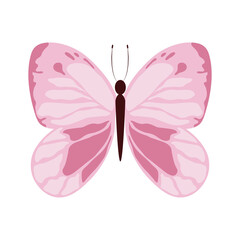 pink beautiful butterfly delicate insect isolated icon white background