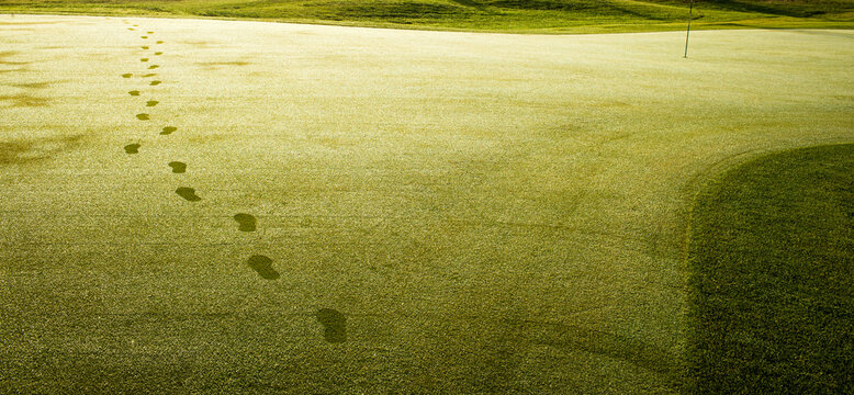 Steps in the fresh grass