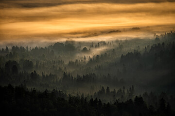 Sunrise over the mountain forest. Bieszczady National Park. Carpathian Mountains. Poland.