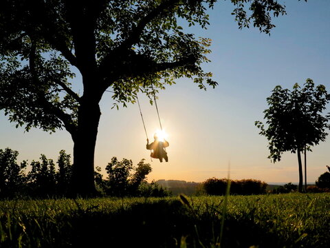 rocking swing hanging tree child sun