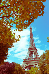 Autumn in Paris. Yellow-red leaves in the foreground and the Eiffel Tower in the background. Selective focus. Concept romantic