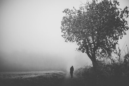 man walking in a beautiful still scene clouded in by fog, mist and snow