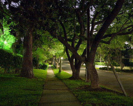 Night in Pasadena