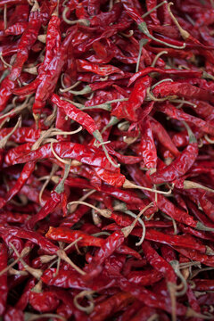 Background of Chili.