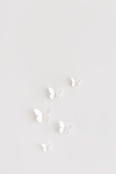 White butterflies on white background