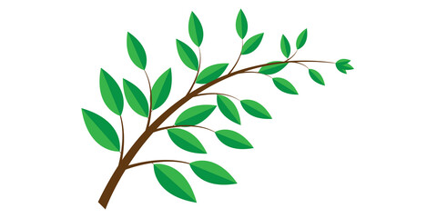 green leaves on white background