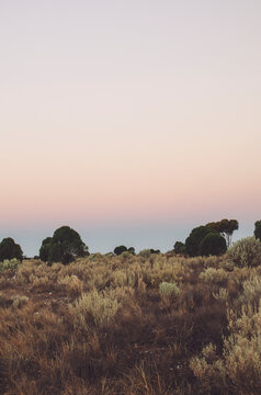 Nullarbor Plains at dusk