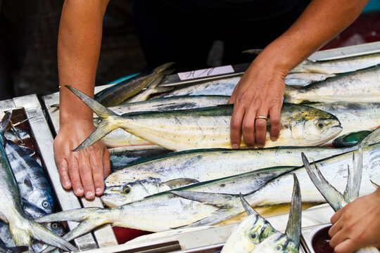 Fish market in Catania, Sicily