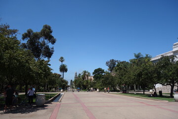 people walking on the street