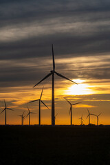 Obraz premium Sunset behind a field of wind turbines