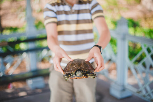 Boy holding a turtle