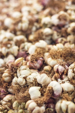 Garlic at the local market