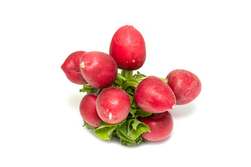 Red bunch of radish on a white background.