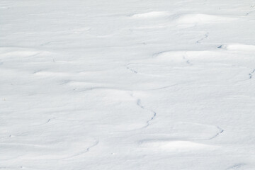 Fototapeta na wymiar Snow background, light shadow, steppe snow cover. Large white snowy winter background.