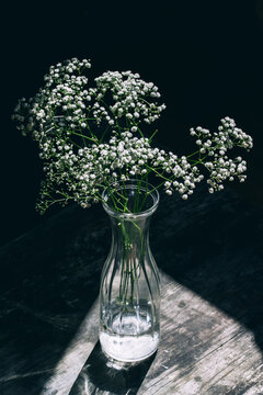 Vase of gypsophila flowers in patch of sunlight.