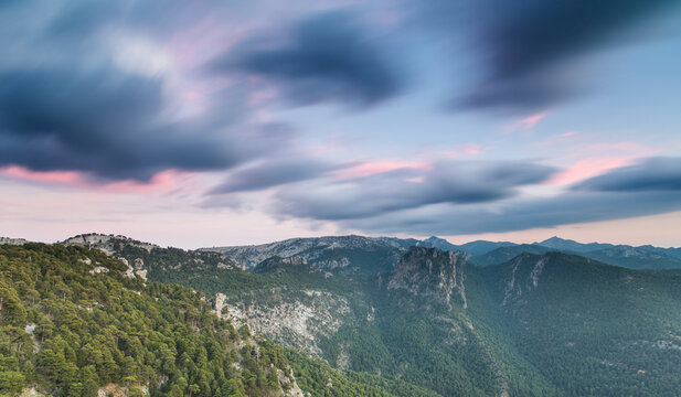 Cazorla Dreams