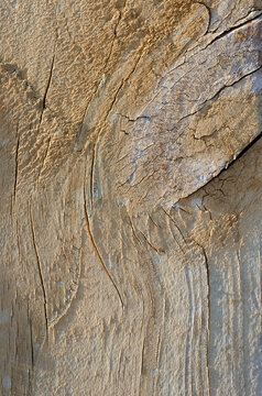 closeup macro macrophotograph knots wood exterior doorframe texture grain abstract