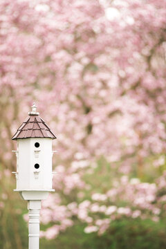 Fancy Birdhouse Framed With Pink Blossoms.