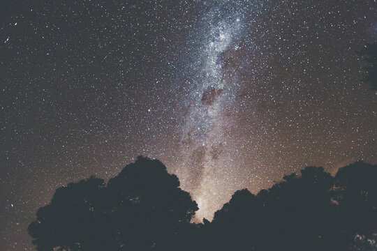 Stars over Abel Tasman National Park
