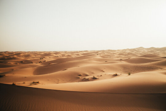 Endless Sand Dunes in the Sahara Desert