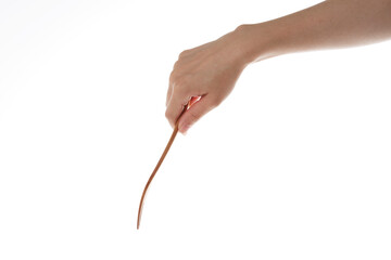 hand holding  wooden fork. use the fork.