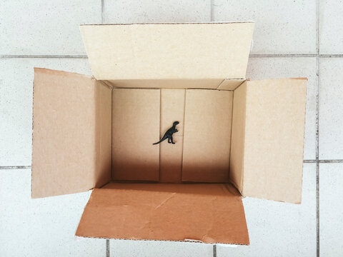 T-Rex Dinosaur in a box