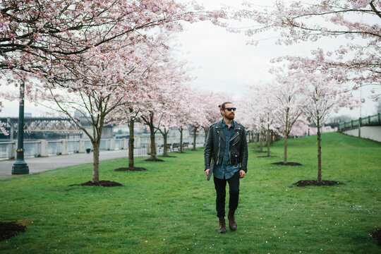 Hip man walking between rows of pink apple blossoms