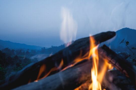 Firewood